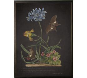 Vintage Floral And Butterfly Print Polianthes