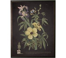 Floral And Butterfly Print on Black Background- Ketmia