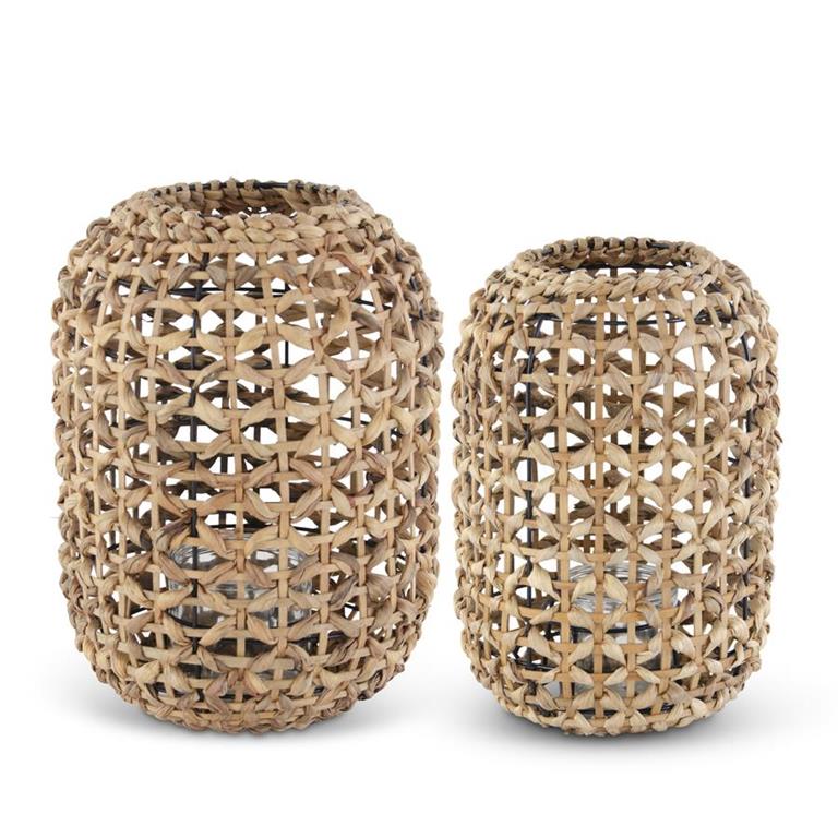 Hyacinth Grass Lantern
