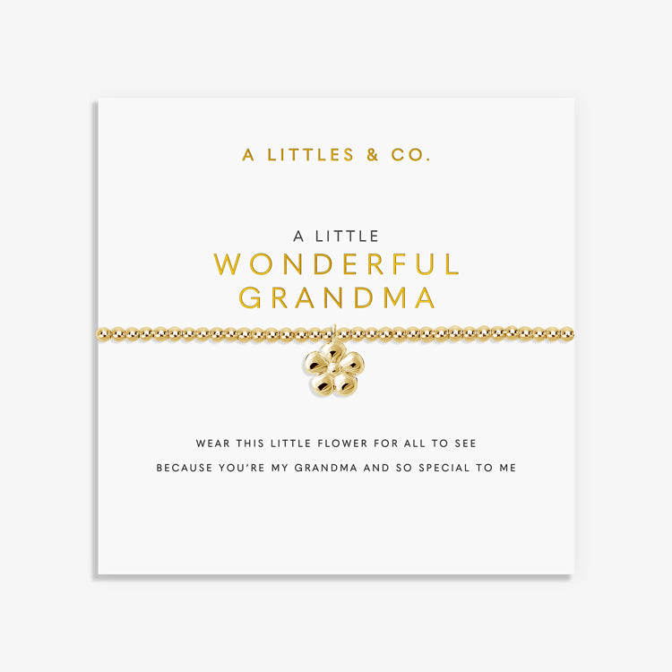 a little Wonderful Grandma