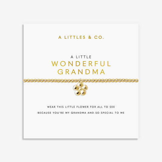 a little Wonderful Grandma