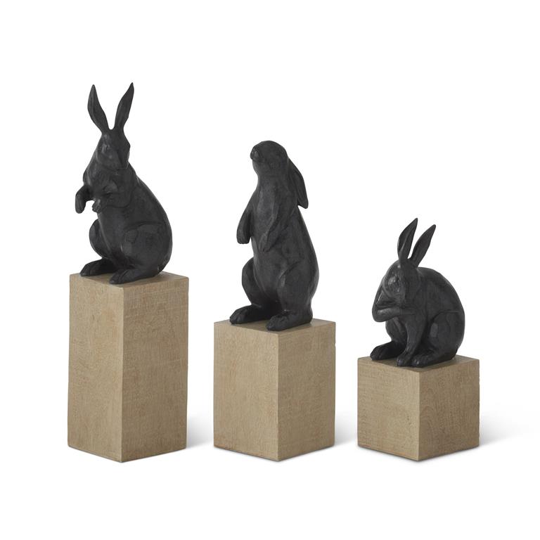 Rabbit on Block