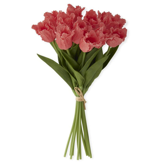 Coral  Parrot Tulip Bundle