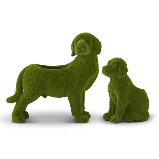 Mossy Dog Container