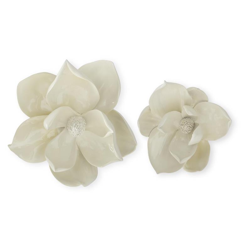 Hanging Magnolia Blooms