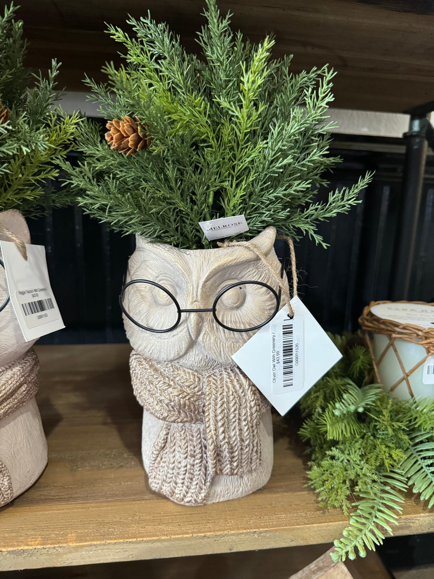 Oliver Owl with glasses