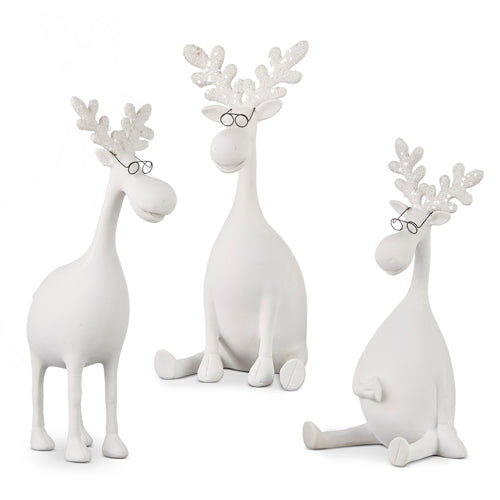 Moose with Glasses