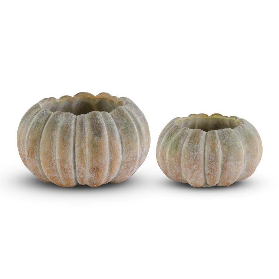 White-washed Pumpkin
