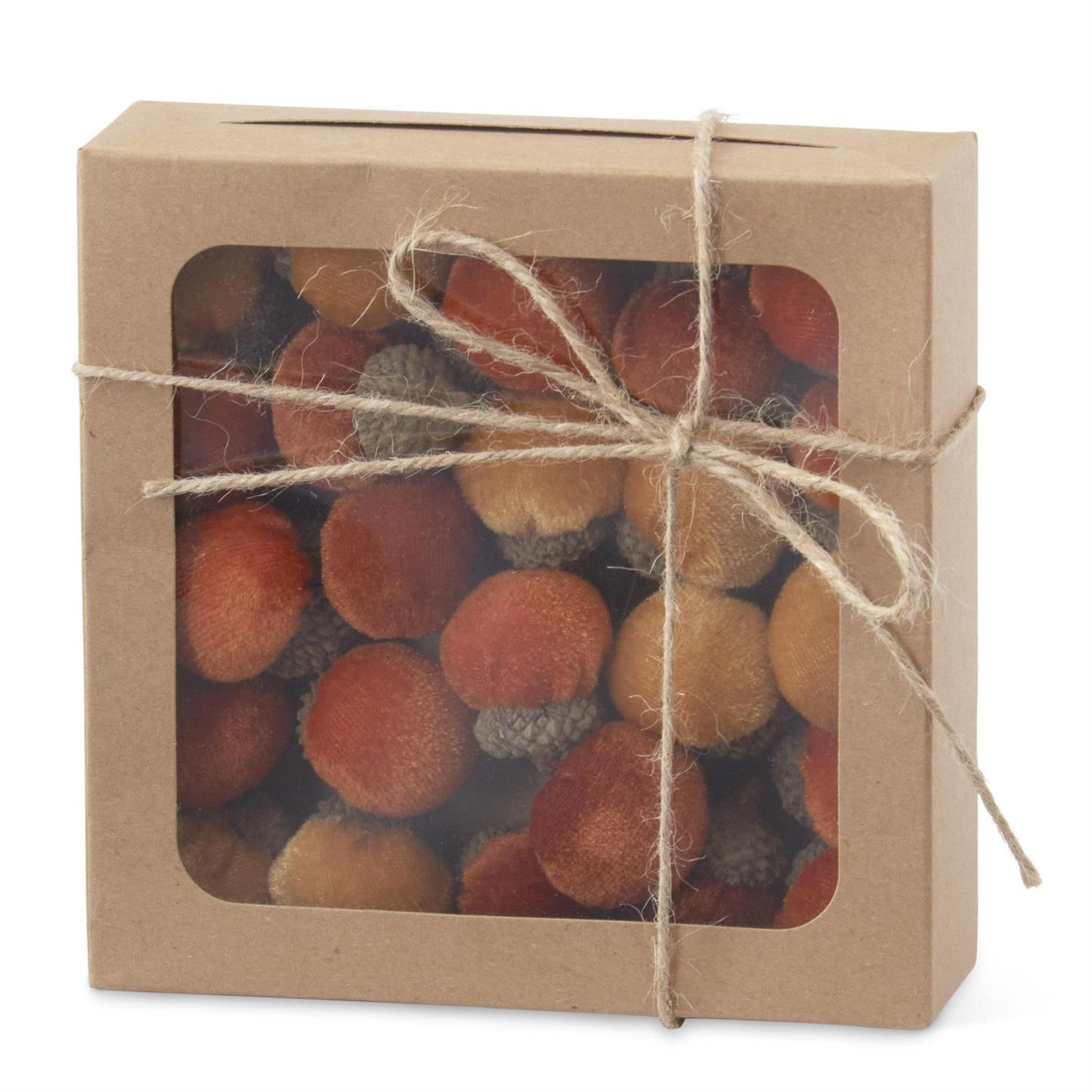 24 Mini Acorns