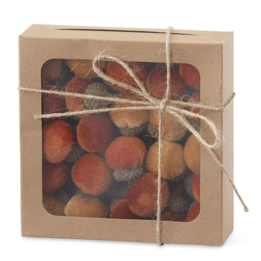 24 Mini Acorns