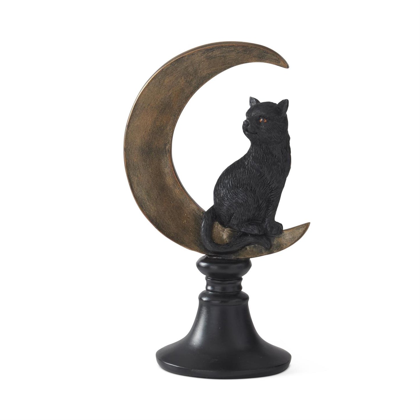 Black Cat on Moon