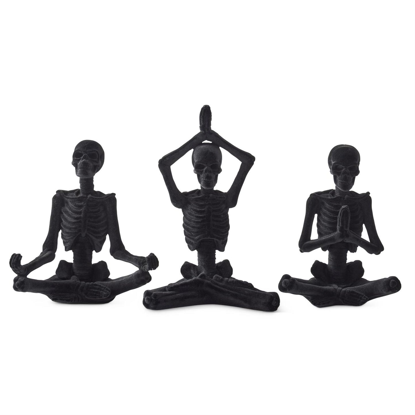 Yoga Skeleton