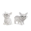 Pig with Glasses