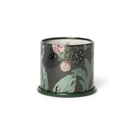 Blackberry Absinthe Demi Vanity Tin Candle
