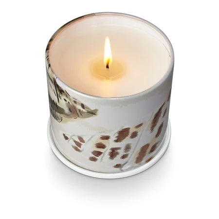 Coconut Milk Mango Vanity Tin Candle
