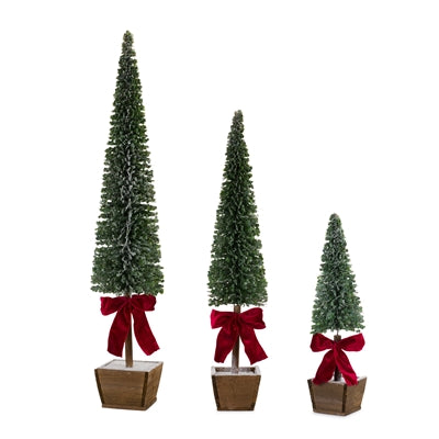 S/3 Potted Trees