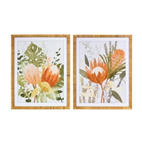 Protea Framed Art