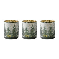 Evergreen Votive Holders s/3