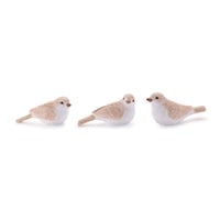 Resin Bird