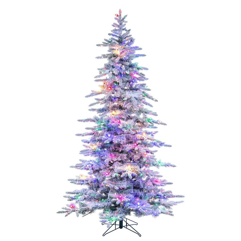 6.5' Flocked Tree with Multicolor Lights