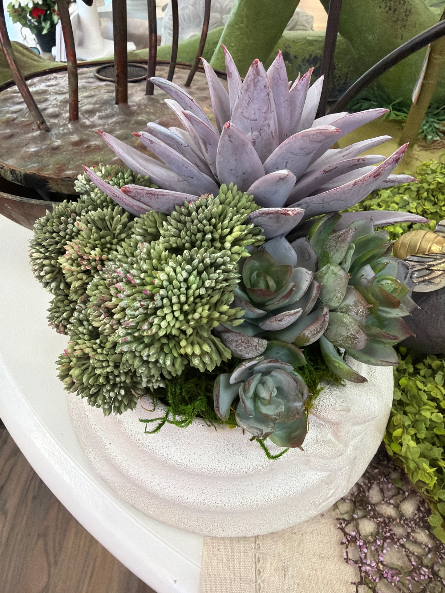 Frog container with Succulents Lg.