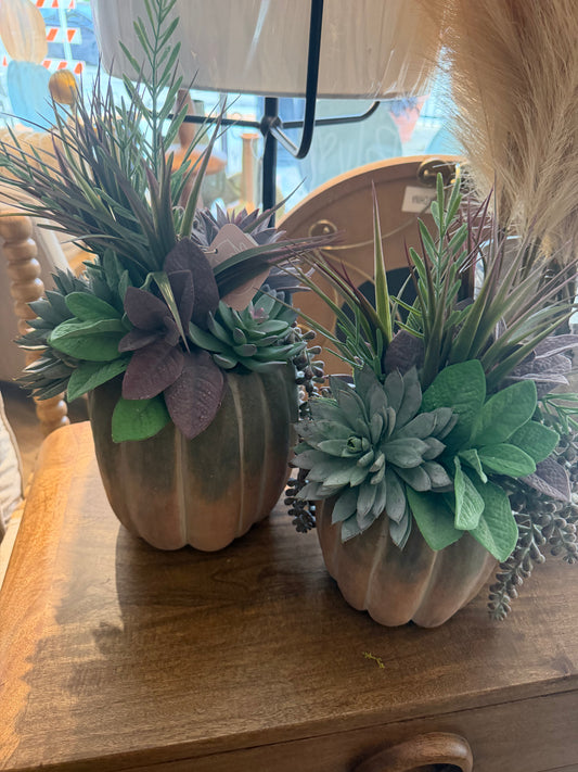Tall Whitewashed Pumpkin with succulents