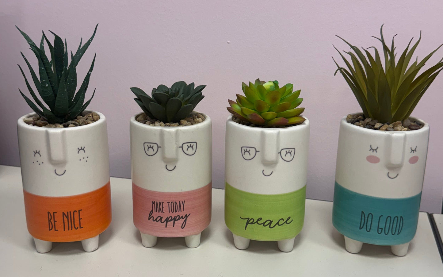 Kindness Pot with Plant