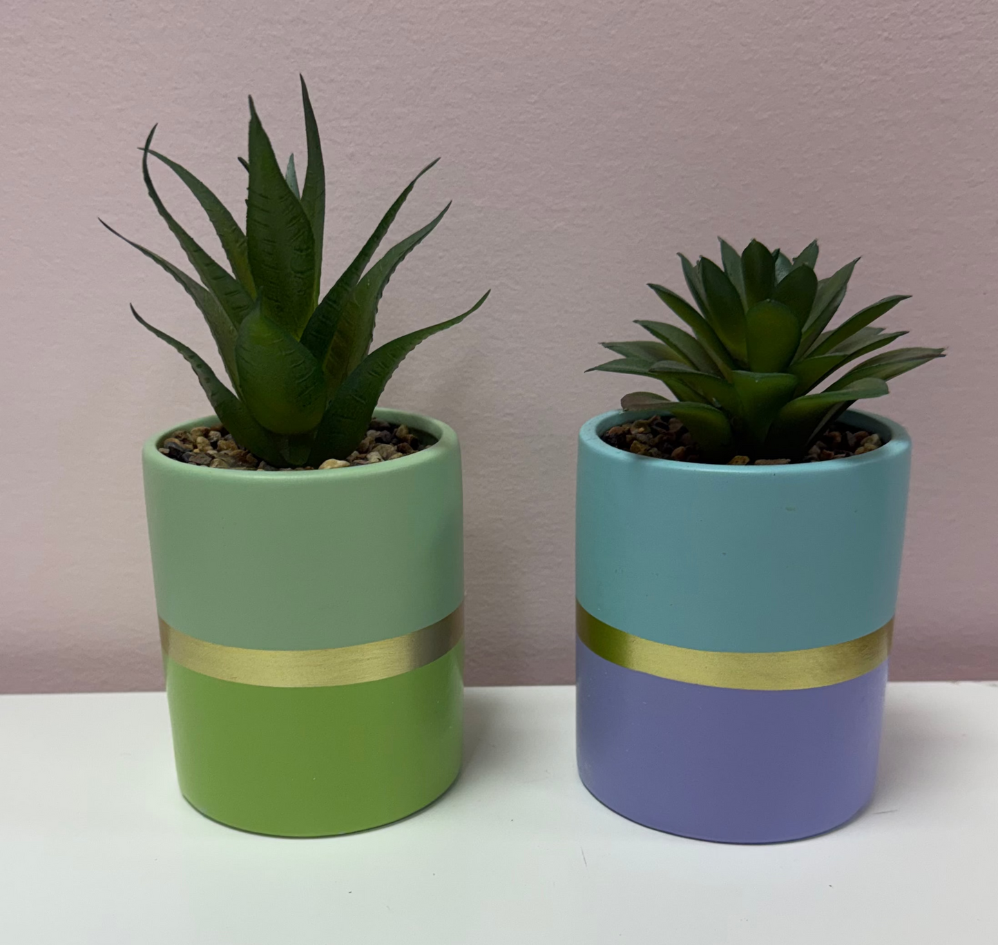 Colorful Planter Succulent