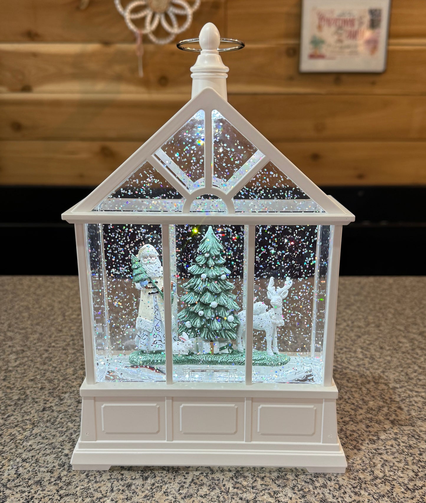 Santa Greenhouse Snowglobe