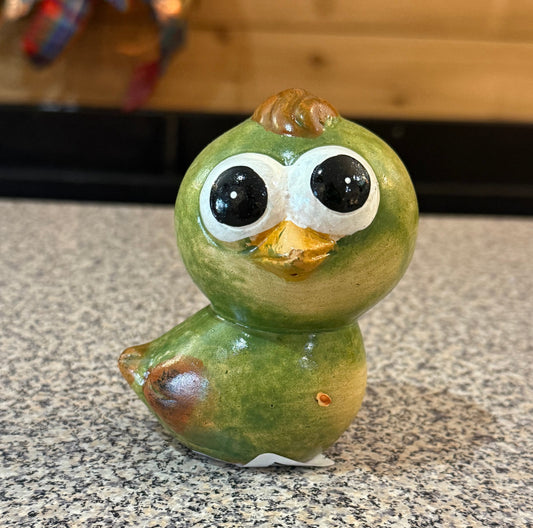 Google Eye Bird