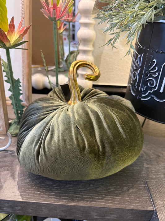 Green Velvet Pumpkin w/ Gold Stem