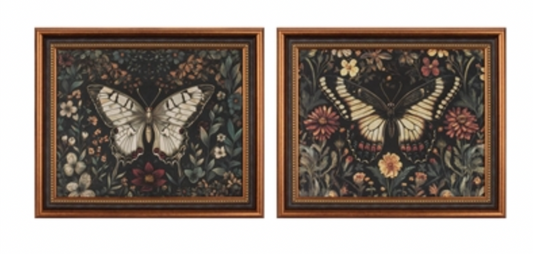 Framed Butterfly Asst. 2