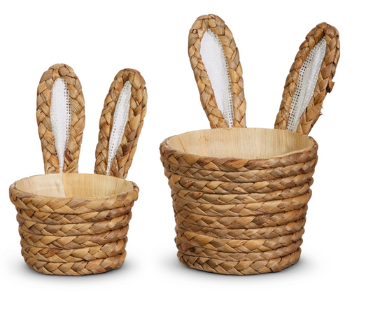Bunny Ear Basket