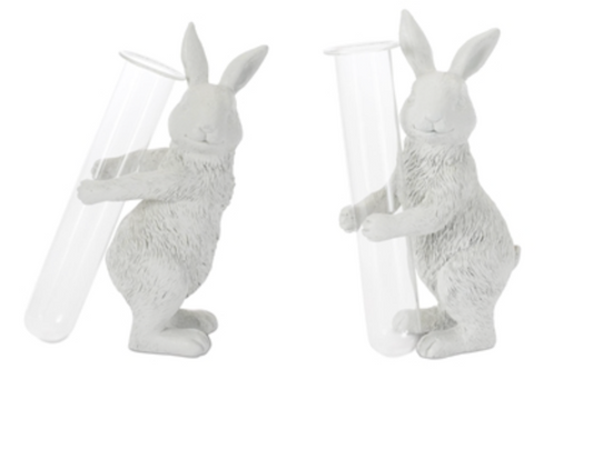 Rabbit w/Vase