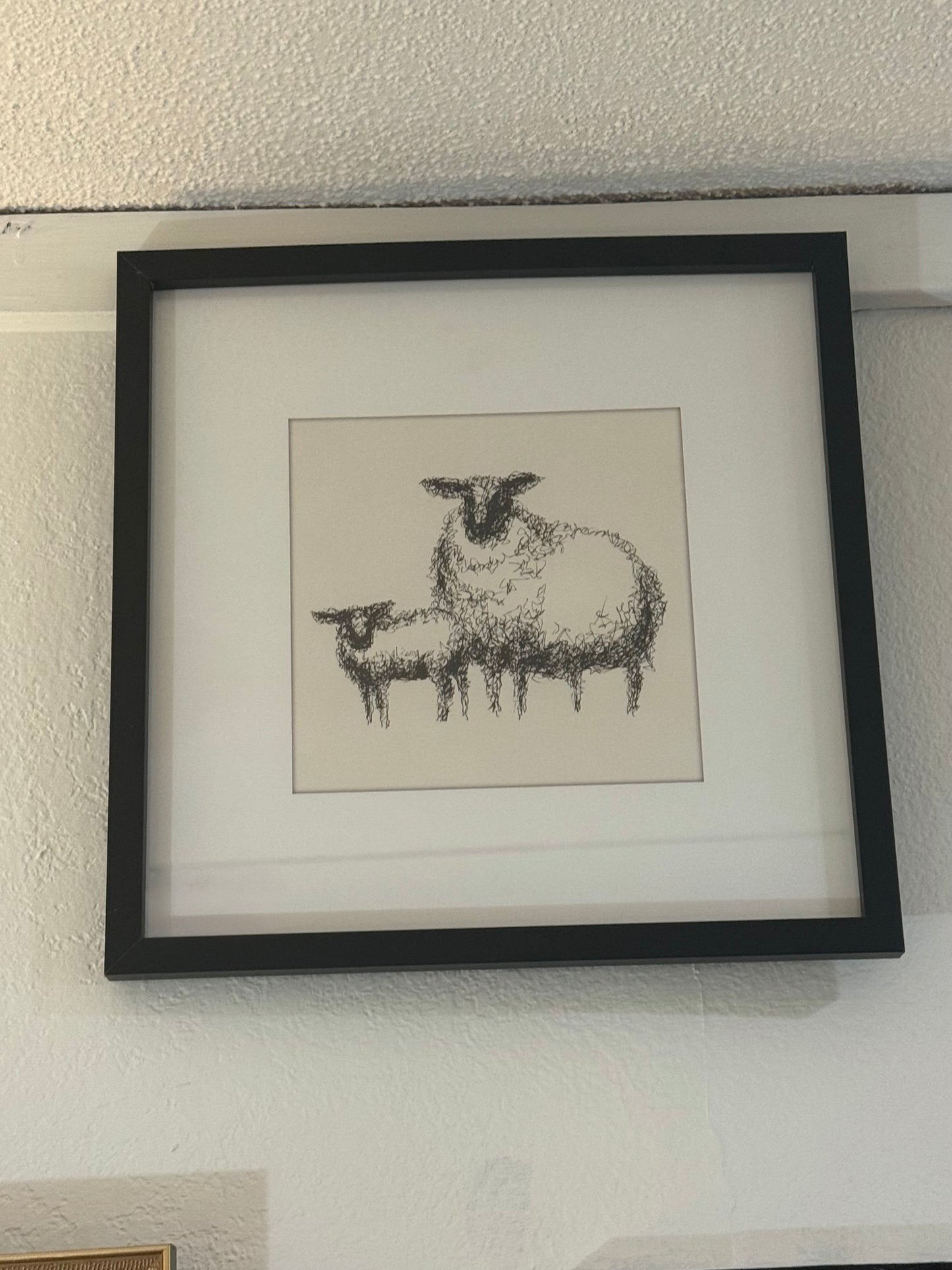 Framed Print of Two Sheep