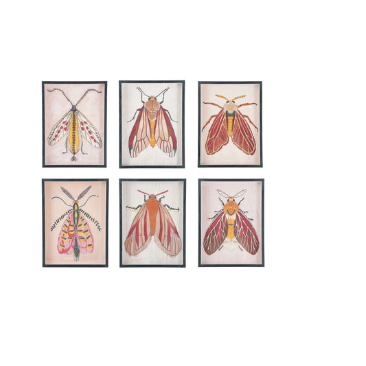 Framed Moth Art