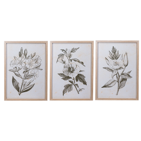 Framed Botanical Art