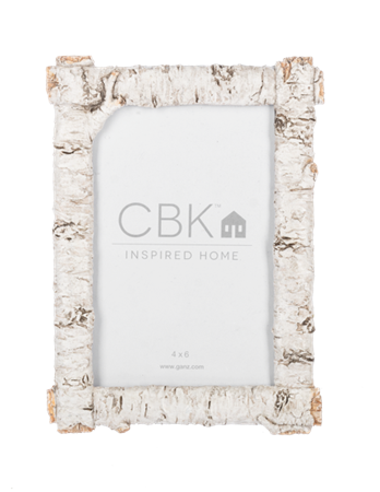 Rustic Birch Finish 4x6 Frame
