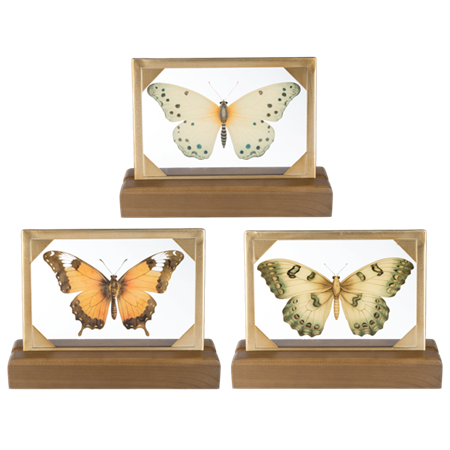 Butterfly Tabletop Decor