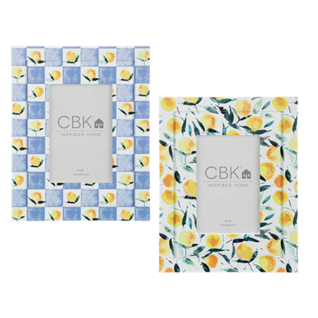 4x6 Lemon Frame