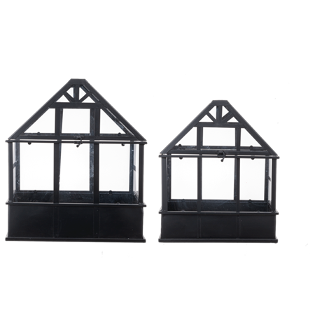 Black Terrarium