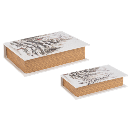 s/2 Winter Bird Books