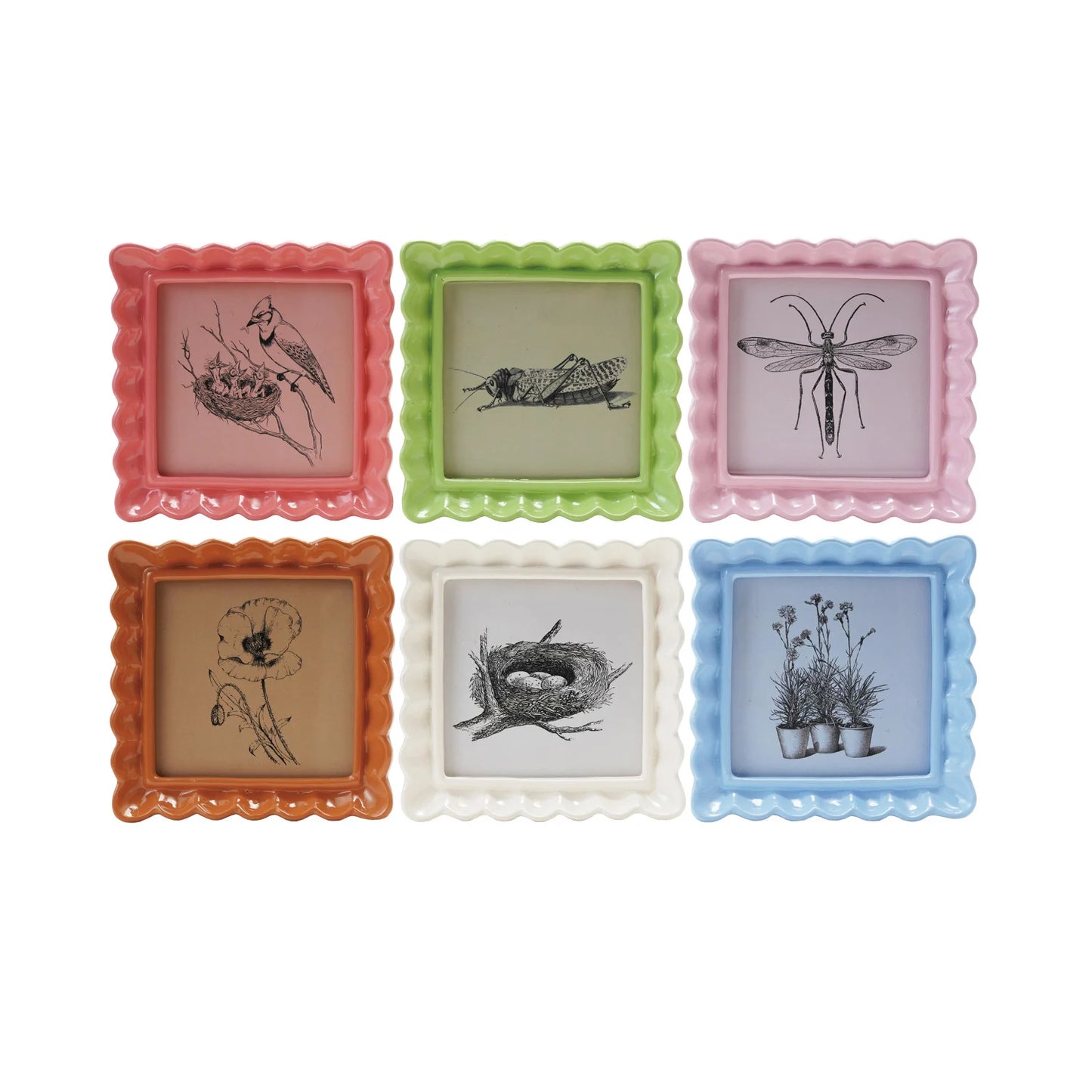 Ruffled Color Photo Frame