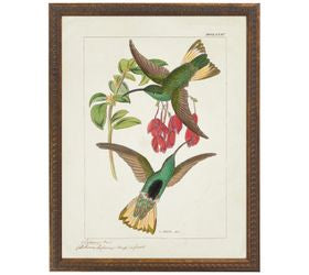 Framed Vintage Bright Hummingbirds Flowers