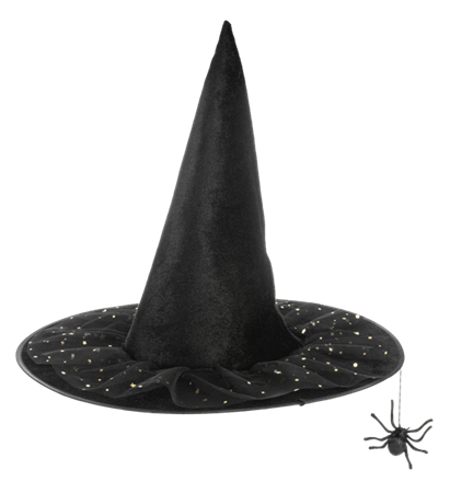 Stars & Spider Witch Hat