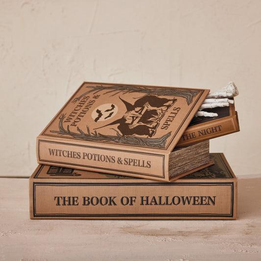 Halloween Book Box, Set of 3