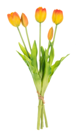 Orange Tulip Spray