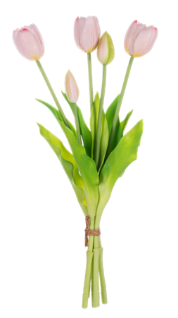 Pink Tulip Spray