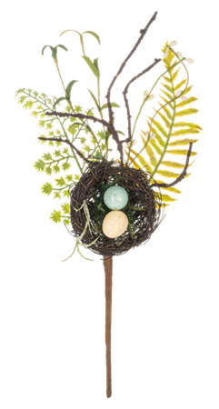 Bird Nest Pick